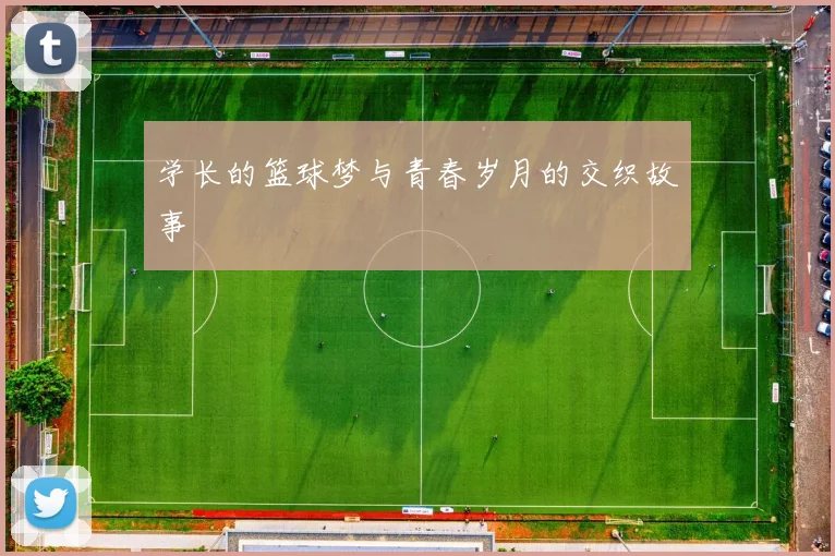 学长的篮球梦与青春岁月的交织故事