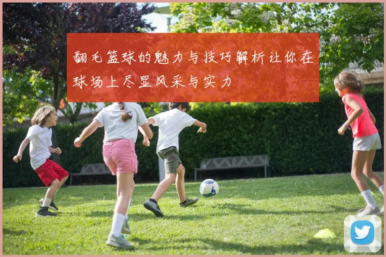 翻毛篮球的魅力与技巧解析让你在球场上尽显风采与实力