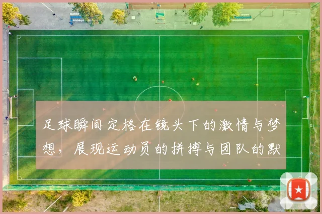 足球瞬间定格在镜头下的激情与梦想，展现运动员的拼搏与团队的默契